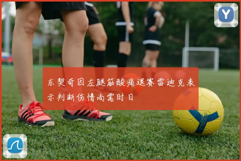 东契奇因左腿筋酸痛退赛雷迪克表示判断伤情尚需时日
