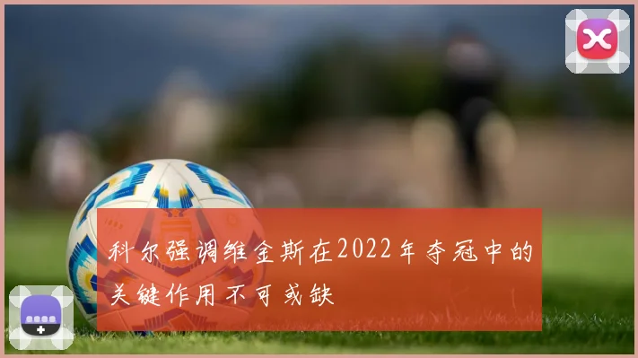 科尔强调维金斯在2022年夺冠中的关键作用不可或缺