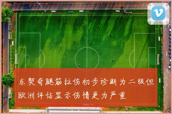 东契奇腿筋拉伤初步诊断为二级但欧洲评估显示伤情更为严重