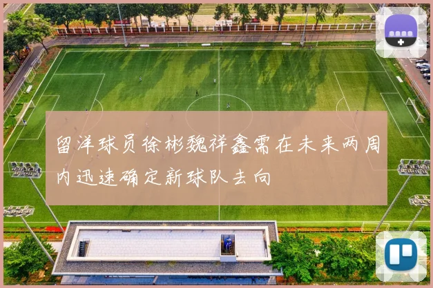 留洋球员徐彬魏祥鑫需在未来两周内迅速确定新球队去向